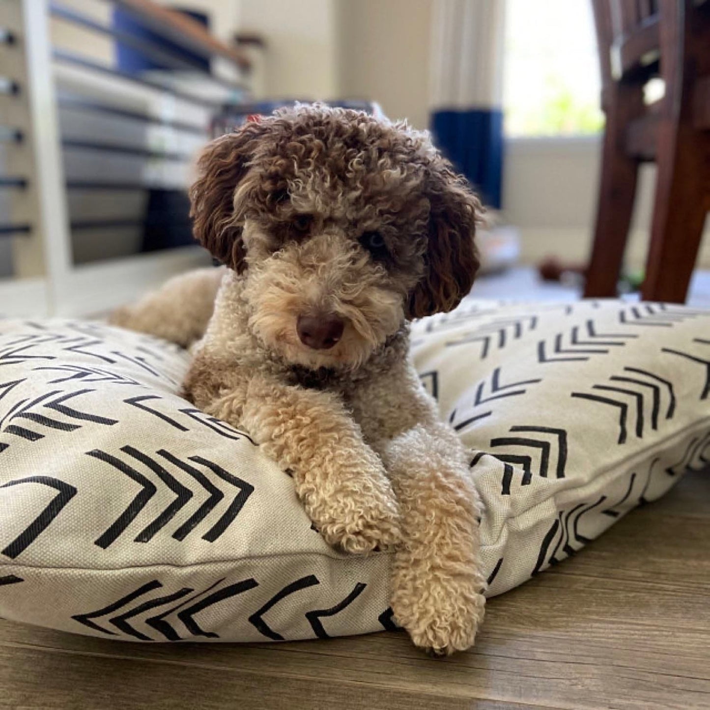 Modern-mudcloth-pet-pillow-bed-doodle-cuddl