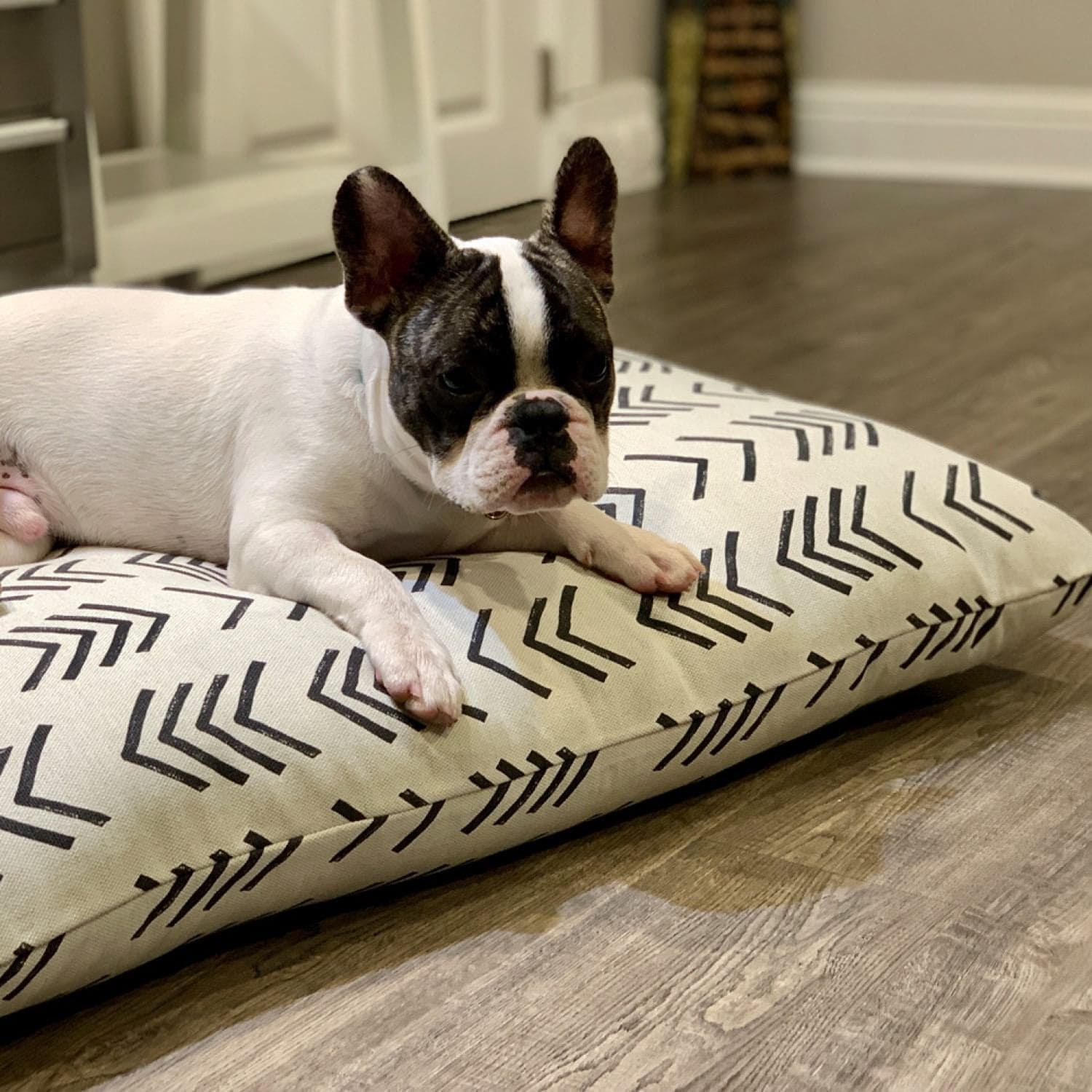 modern-mudcloth-pet-pillow-bed-french-bulldog-cuddl
