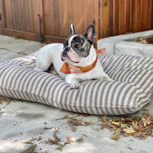 Load image into Gallery viewer, Dog-Pillow-Bed-Ticking-Stripe-French-Bulldog-Cuddl
