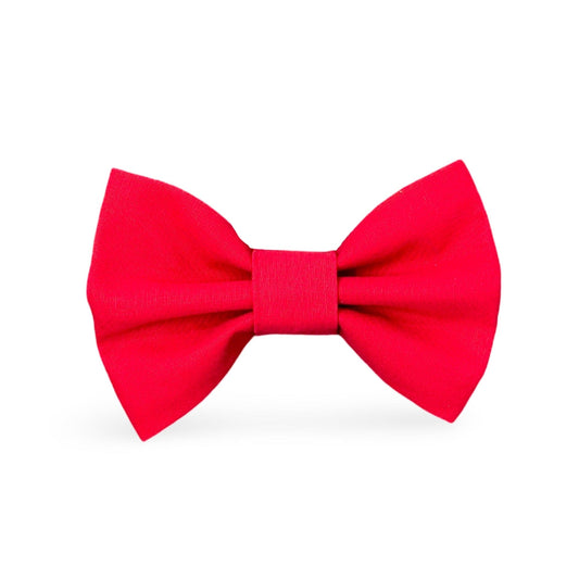 Ruby Red Dog Bow Tie