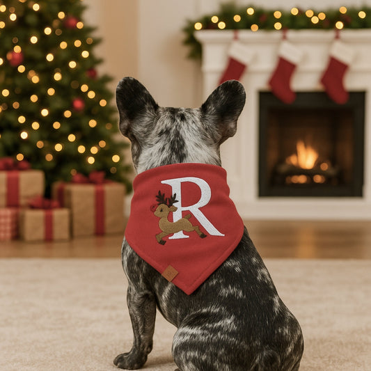 Monogrammed Rudolf Pet Bandana