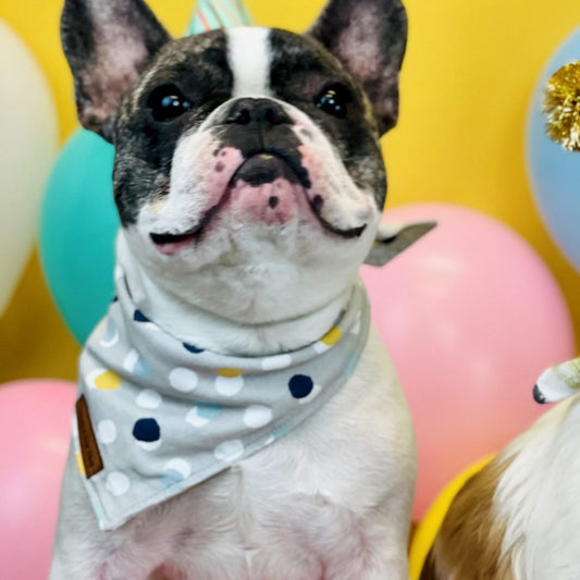 Grey polka dot dog bandana