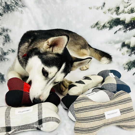 Stewart Tartan Dog Bone Squeaky Toy Lifestyle Preview Image