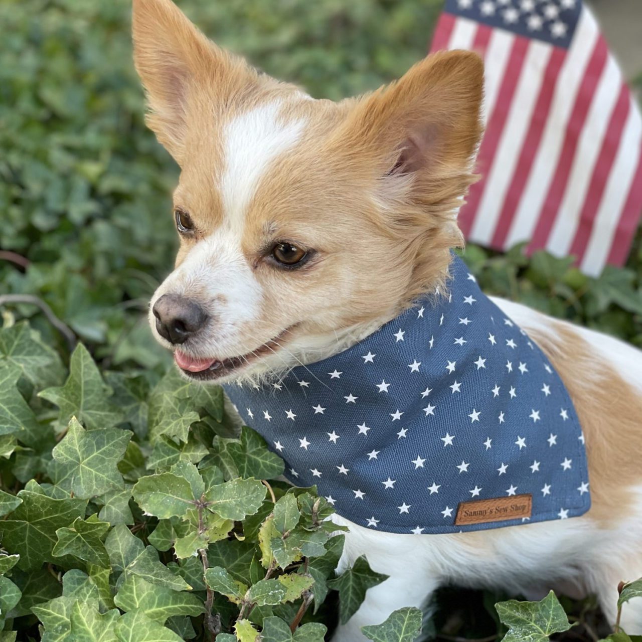Blue Star dog bandana