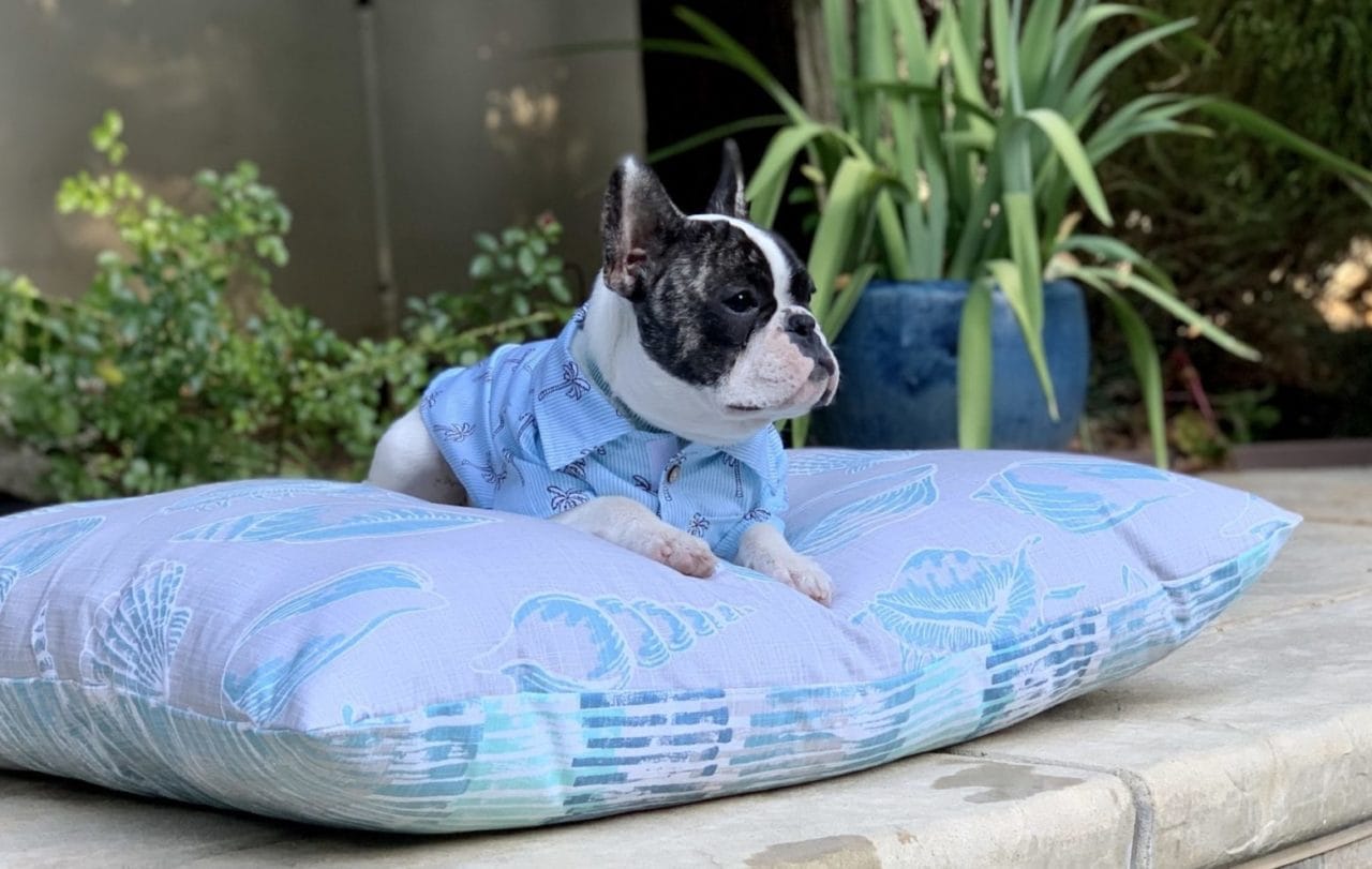 Blue purple pillow dog bed