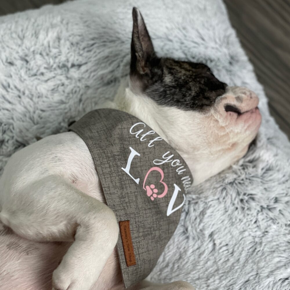 Sammy's Sew Shop Personalized Pet Bandana