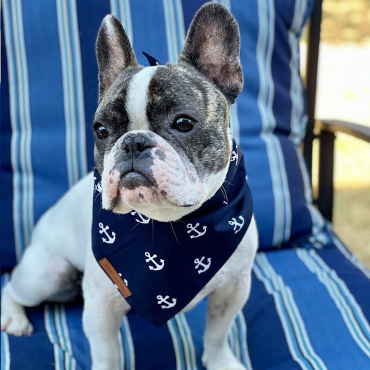 Blue anchor dog bandana