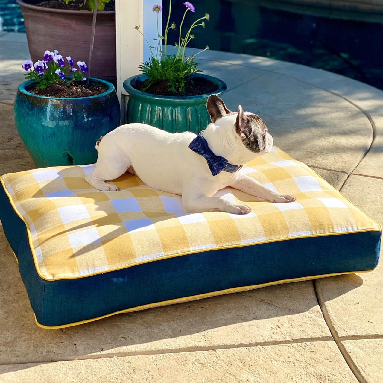 Blue and yellow mattress dog bed