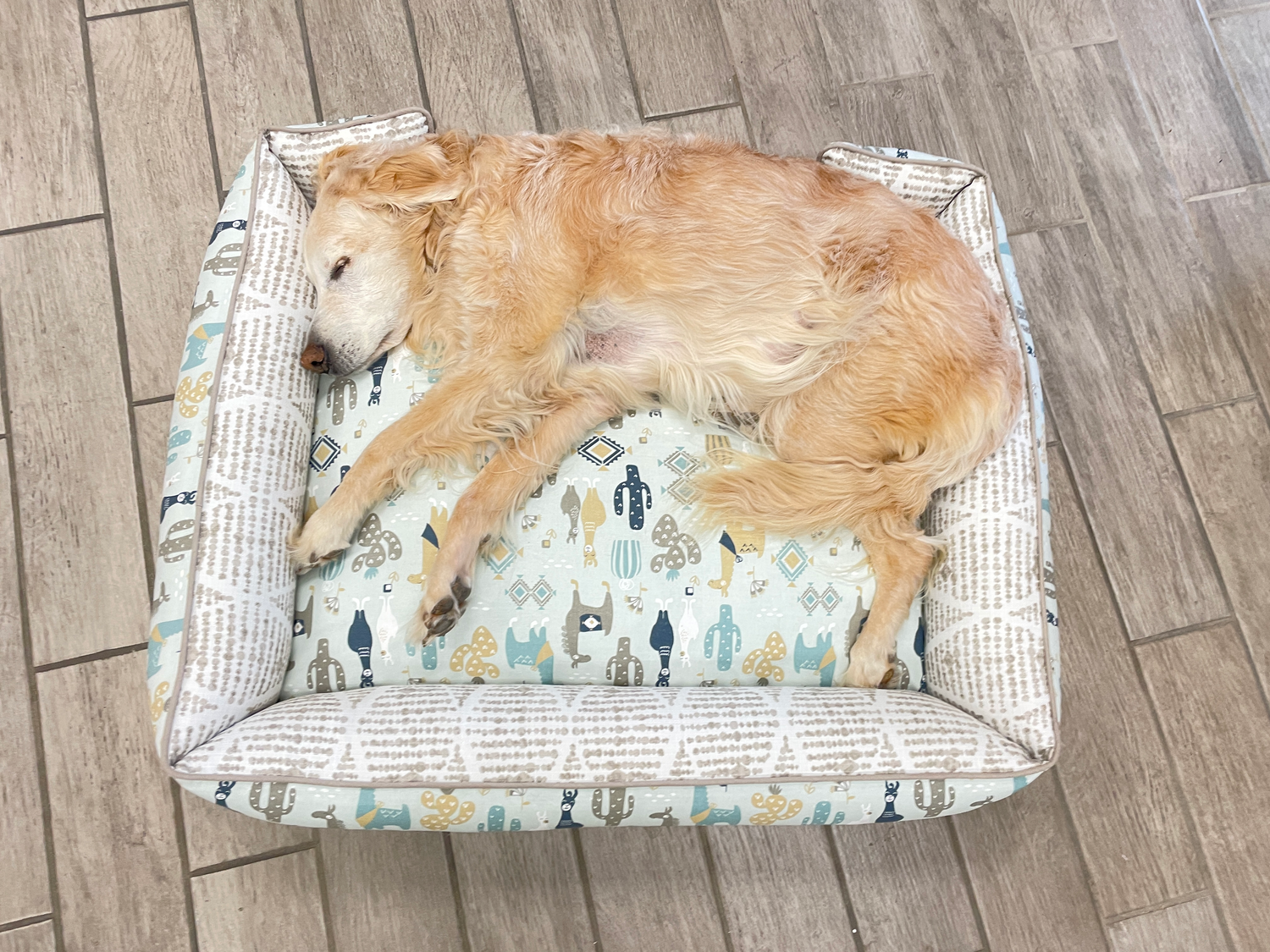 large-custom-dog-bed-with-lab-sleeping