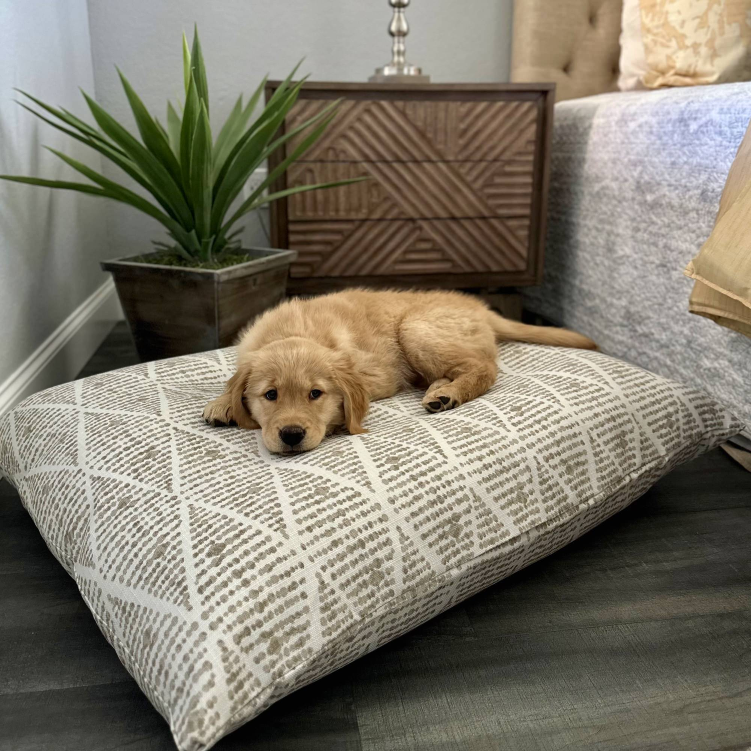 Modern-Print-Pillow-Bed-For-Dogs_neutrals