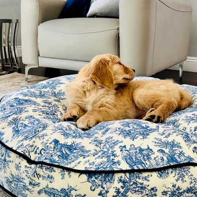 Toile sales dog bed