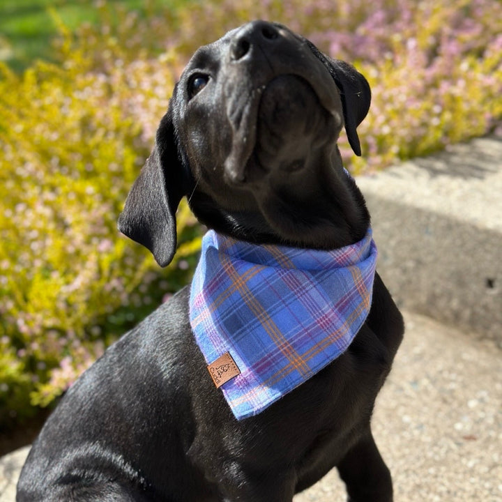 Personalized Just For You!