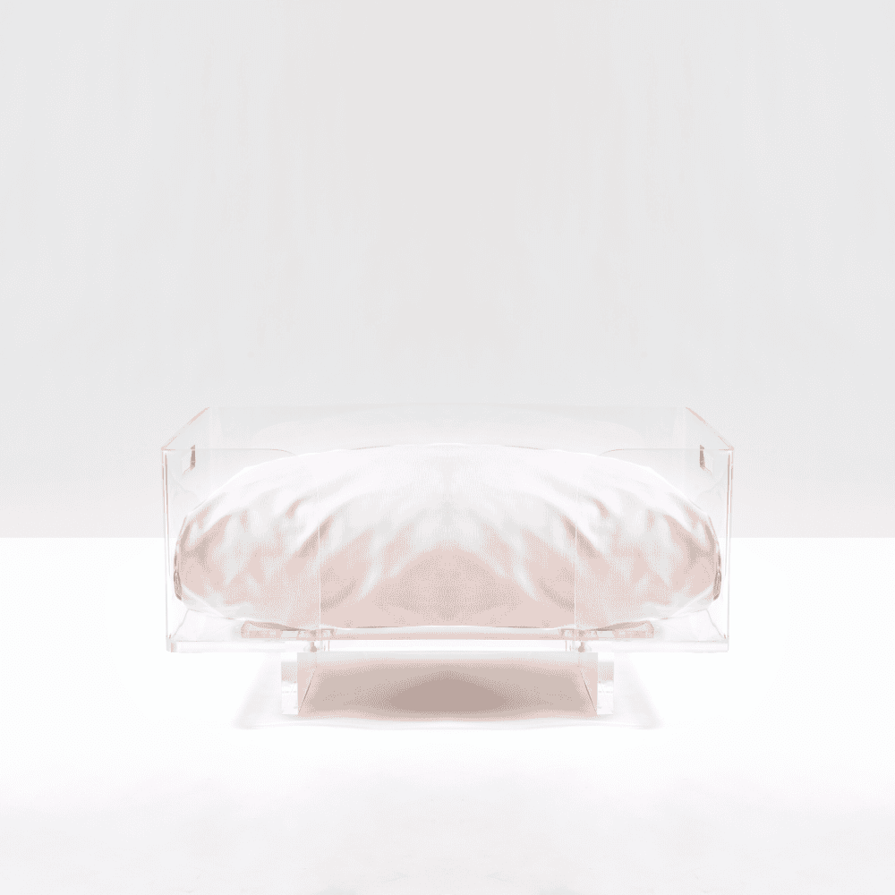 Clear Rectangular Lucite Dog Bed