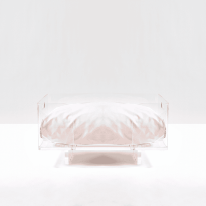 Clear Rectangular Lucite Dog Bed