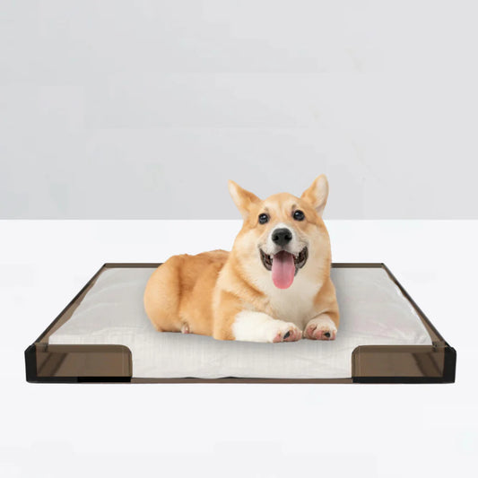 Color Lucite Pet Trey Bed