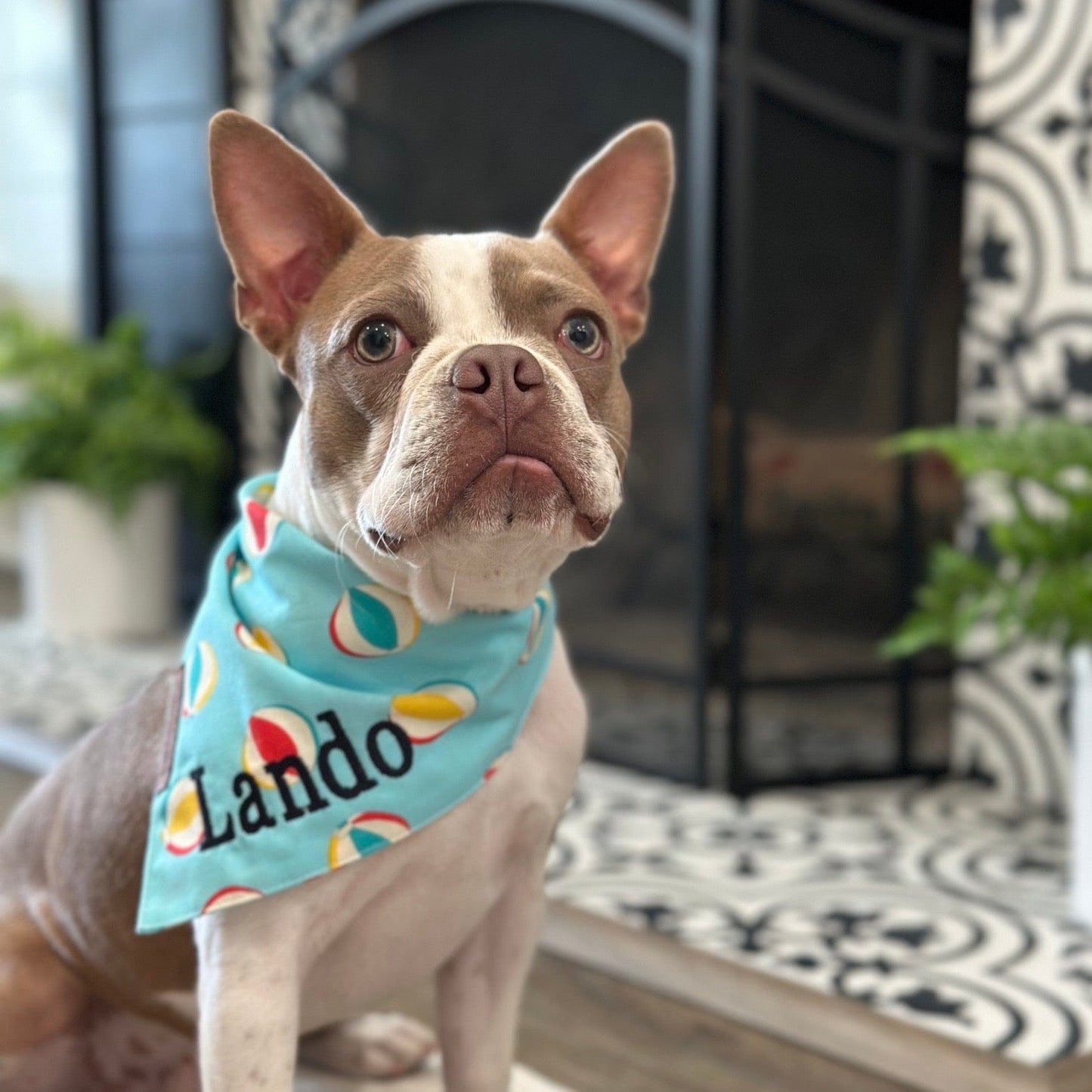 Beach Ballin Dog Bandana