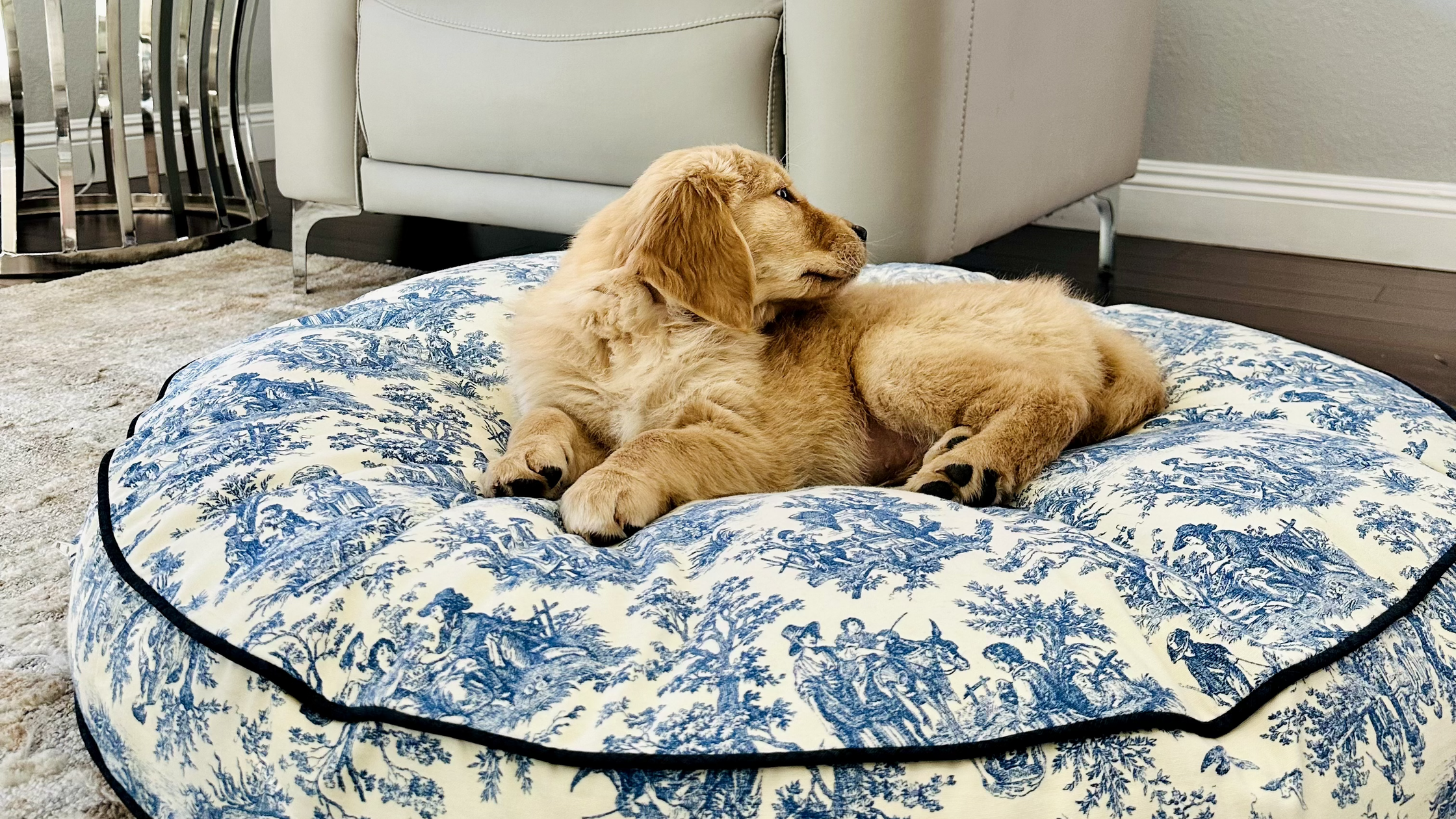 Design your best sale own dog bed