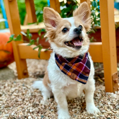 Aubergine Flannel Dog Bandana