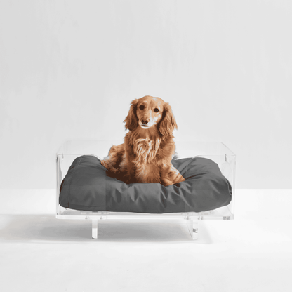 Clear Rectangular Lucite Dog Bed