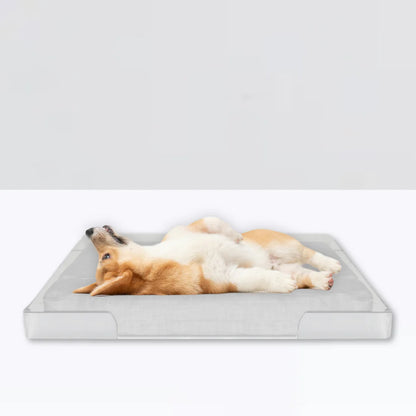 Clear Lucite Pet Trey Bed