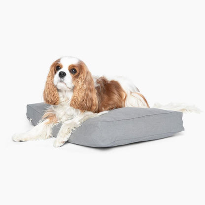 Pet Cushion | Options