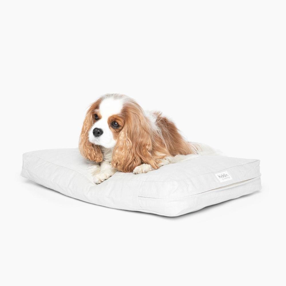 Pet Cushion | Options