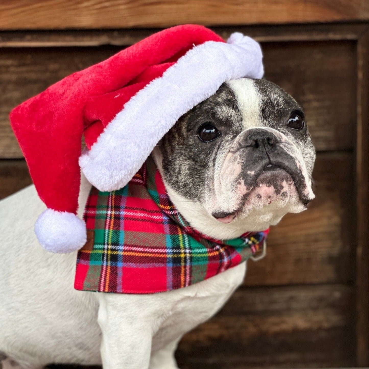 Christmas Tartan Flannel Dog Bandana