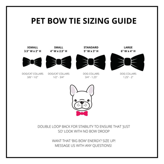 Pink Barkday Dog Bow Tie Lifestyle Preview Image