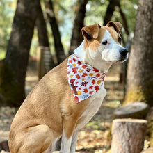 Load image into Gallery viewer, Fall Foliage Dog Bandana