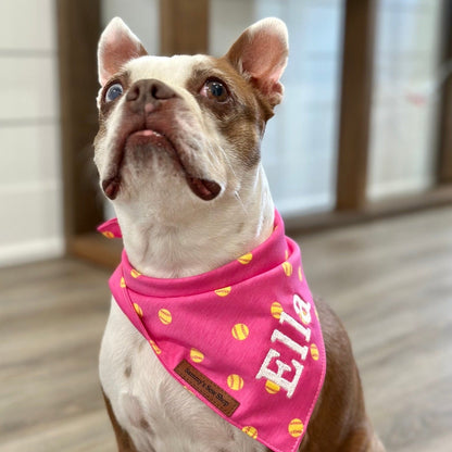 Fetch Dog Bandana