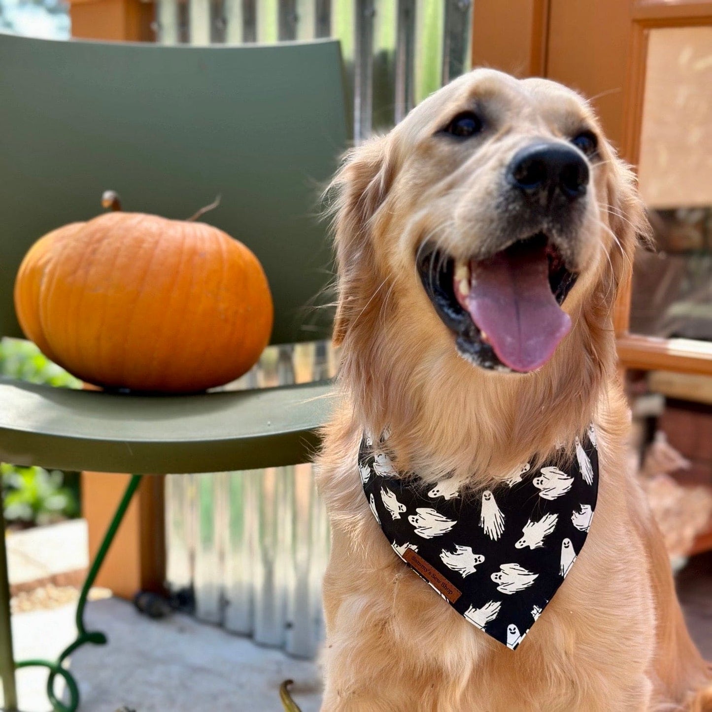 Ghoulish Glow In The Dark Dog Bandana