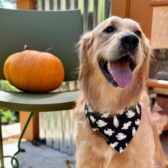 Ghoulish Glow In The Dark Dog Bandana Lifestyle Preview Image