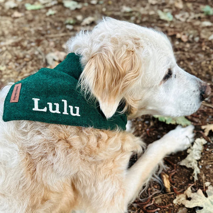 Lush Green Herringbone Dog Bandana