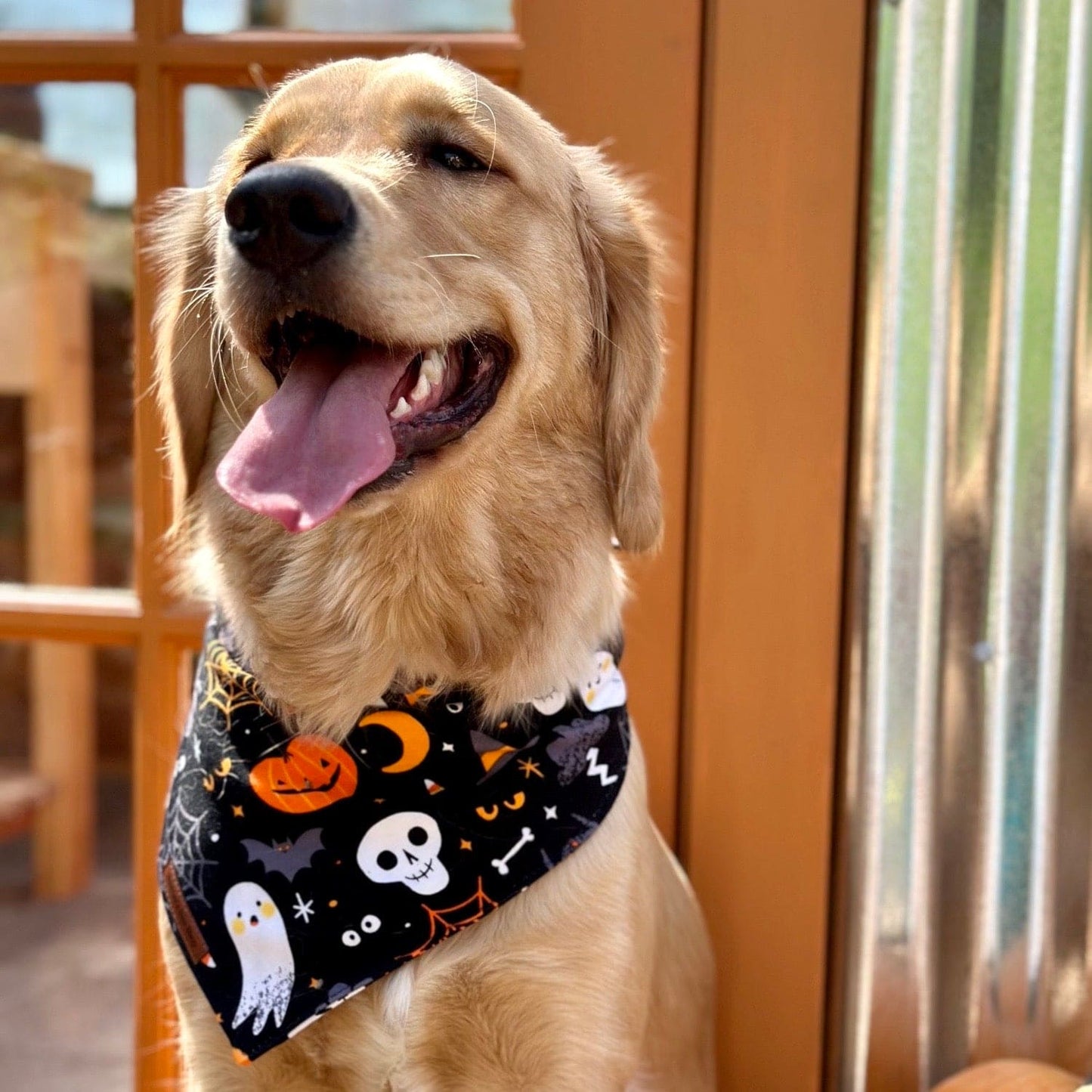 Haunted Howliday Dog Bandana