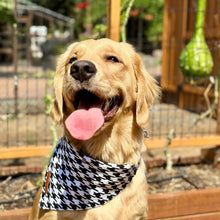 Load image into Gallery viewer, Houndstooth Dog Bandana