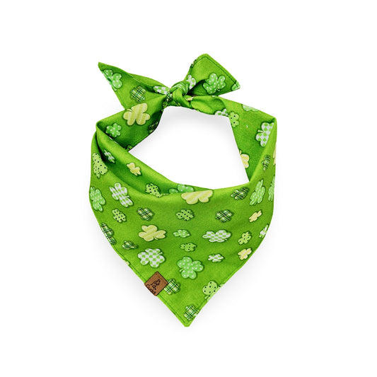 Clover Cutie Dog Bandana