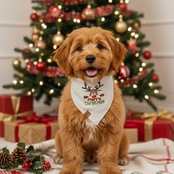 Festive, Cozy & Customized