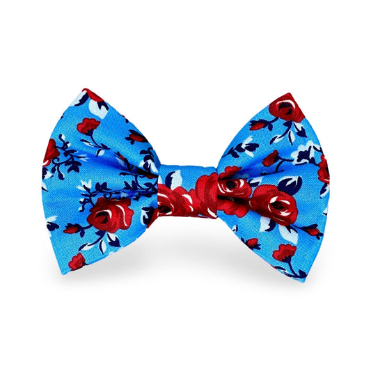 red rose dog bow tie on a vibrant blue background