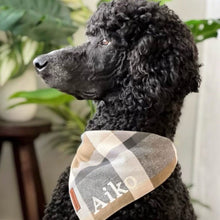 Load image into Gallery viewer, standard black poodle wearing brown and cream fall dog bandana
