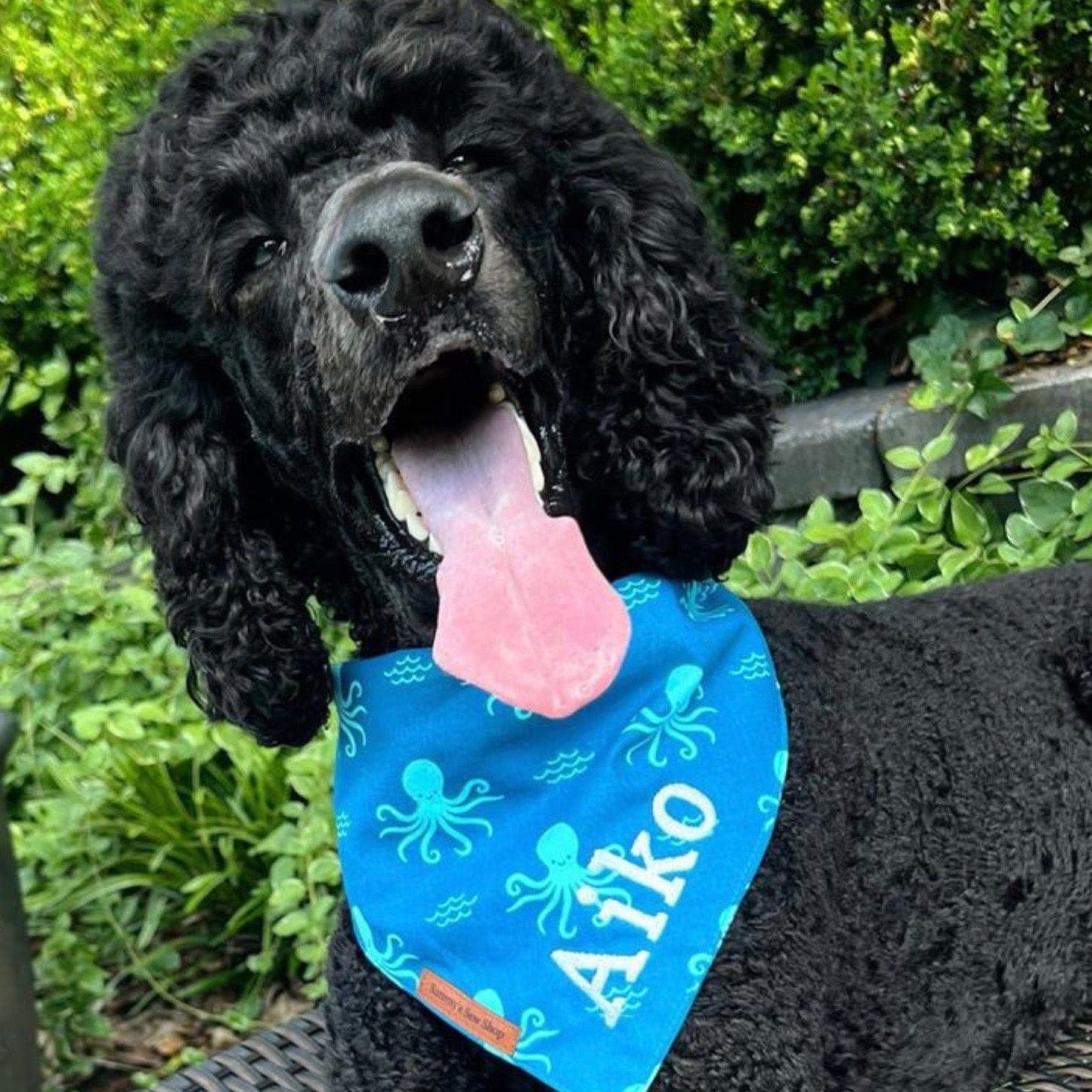 Octo-Paws Dog Bandana