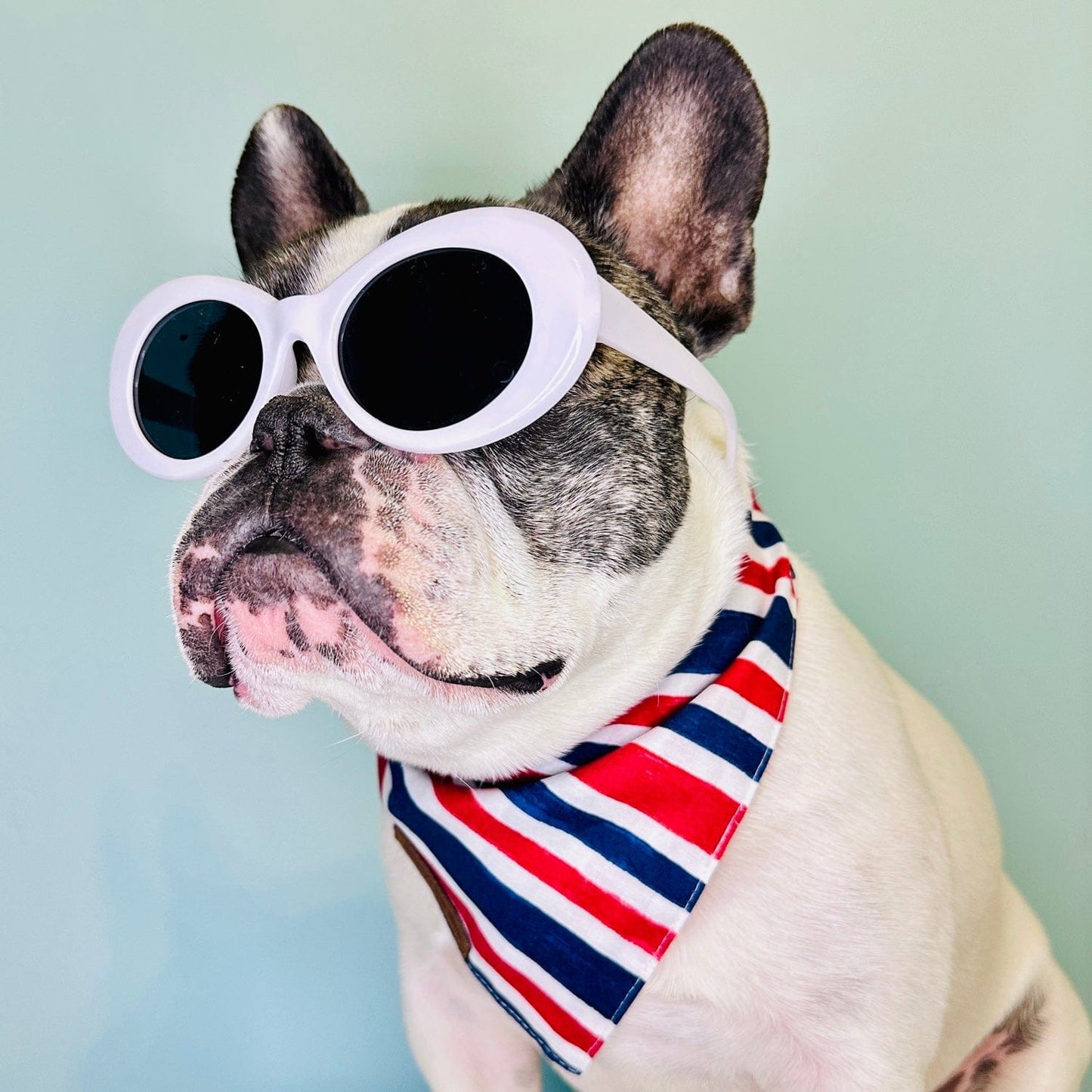 Pawtriotic Striped Dog Bandana