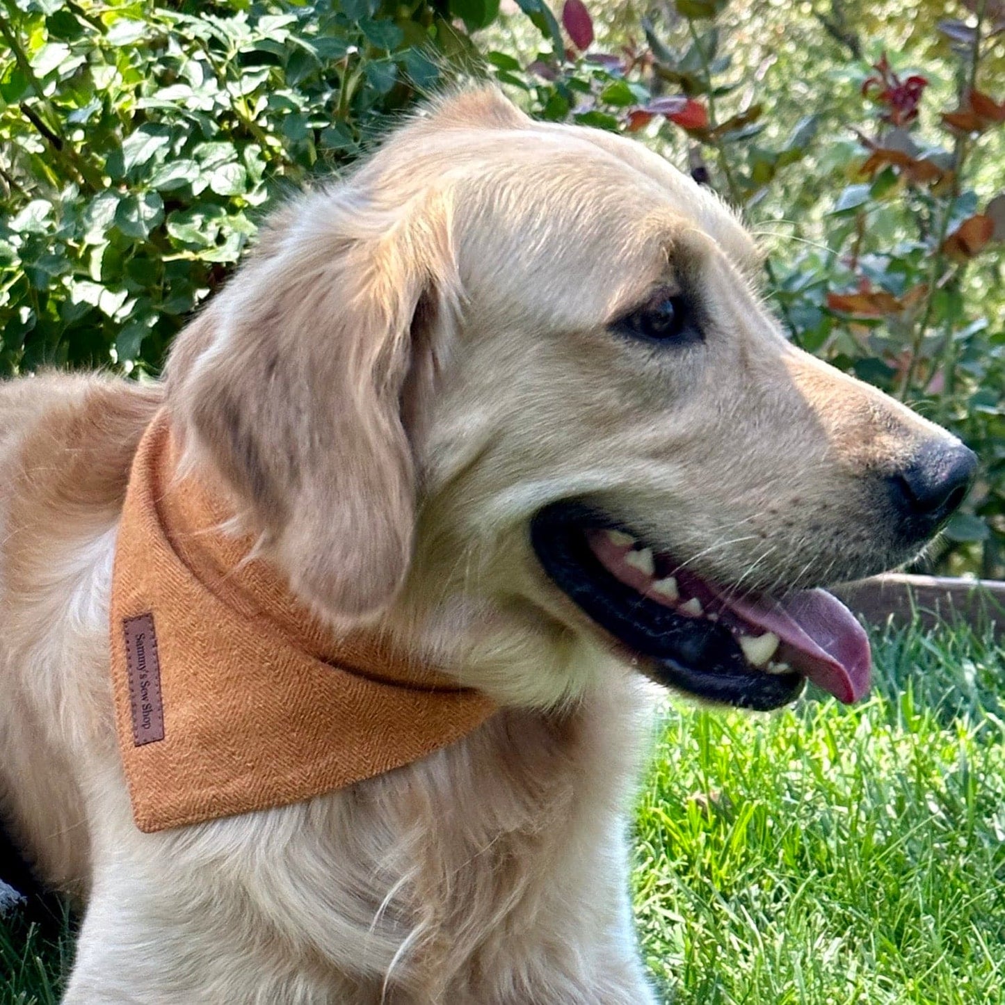 Pumpkin Spice Herringbone Dog Bandana