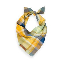 Load image into Gallery viewer, Scarecrow Plaid Dog Bandana