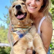 Load image into Gallery viewer, Scarecrow Plaid Dog Bandana
