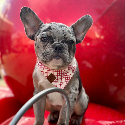 Sleigh All Day Flannel Dog Bandana