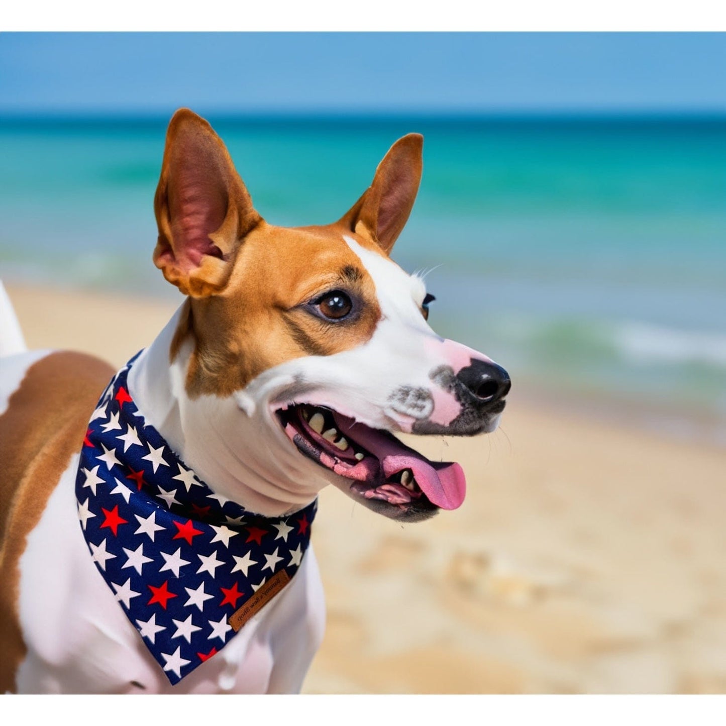 Woof of July Dog Bandana