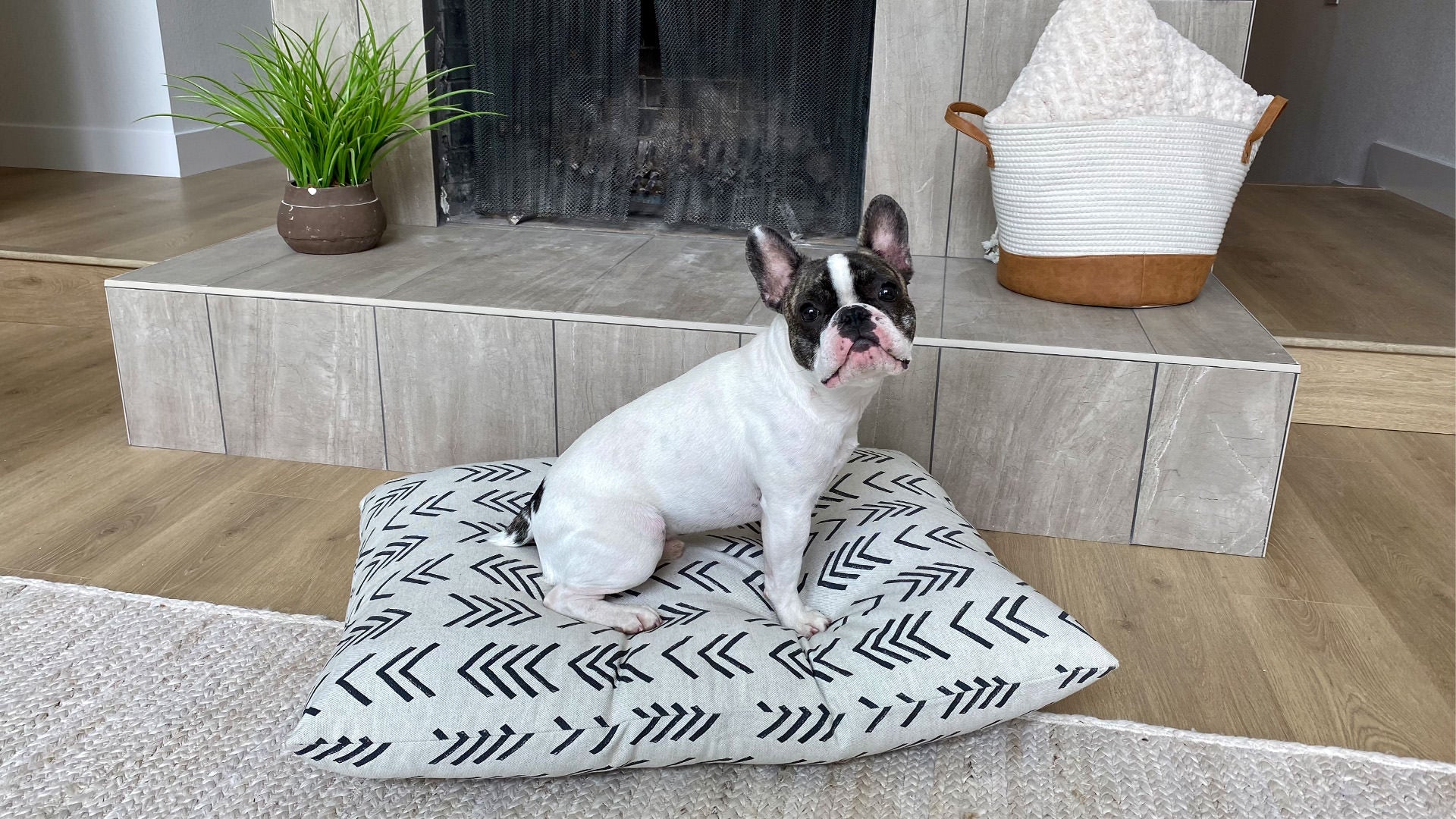 frenchie dog on home decor dog bed