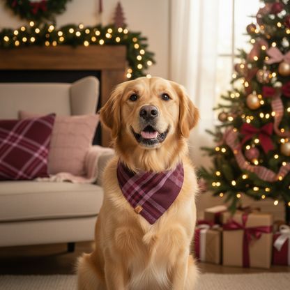 Dog wearing a burgundy bandana sitting in a festive living room with Christmas decorations.