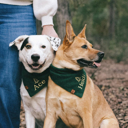 Lush Green Herringbone Dog Bandana