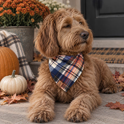 Autumn Trail Flannel Dog Bandana